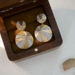 Disc ear hanging